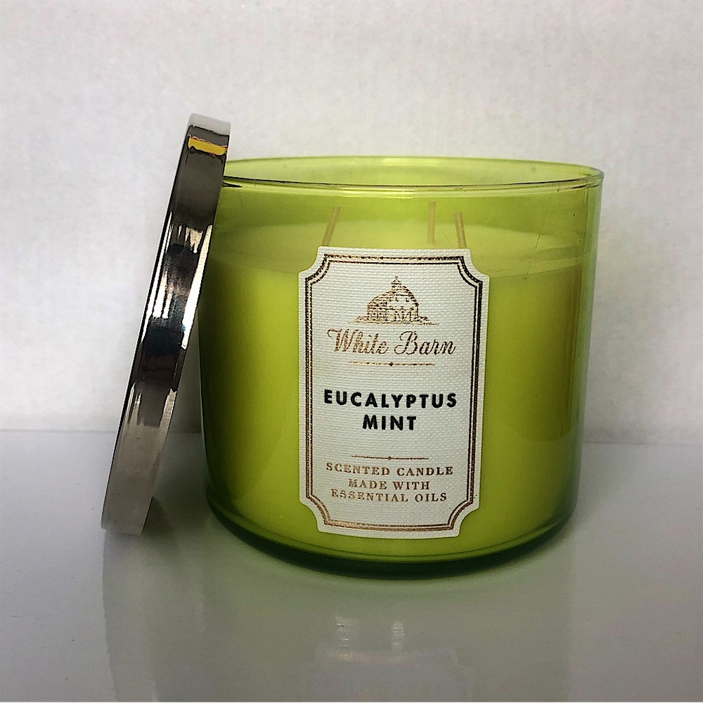 Bath and Body Works Eucalyptus Mint Candle